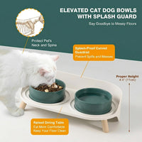 Elevated Ceramic Dog Bowl Set - Green / Small - image 3