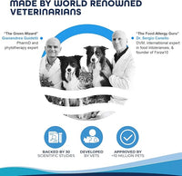 Forza10 Active Intestinal Support Diet Dry Cat Food for Adult Cats, Cat Food Dry for Upset Stomach, Diarrhea and Intestinal Disorders, Wild Caught Anchovy Flavor, 4 Pound Bag