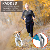 Non-stop Dogwear Freemotion 5.0 Dog Pulling Harness, Blue/Gray - 7 / Orange / Black - image 2