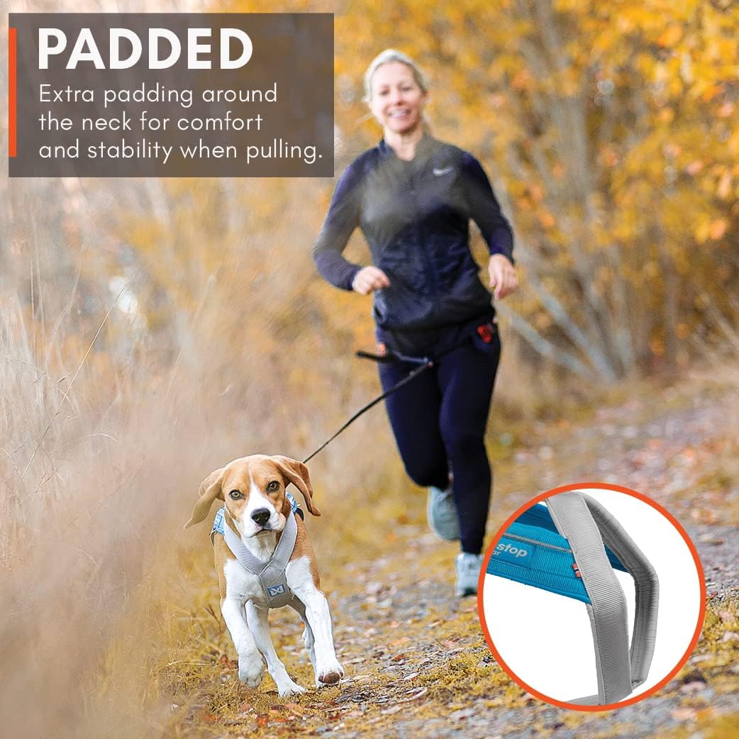 Non-stop Dogwear Freemotion 5.0 Dog Pulling Harness, Blue/Gray - 7 / Orange / Black - image 2