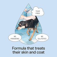 DedCool Pet Shampoo (01 Taunt, 16.9 oz) Tear-Free, for Sensitive Skin, Hypoallergenic, Dry Skin & Itch Relief, Deodorizing Shampoo & Conditioner for Dogs & Cats, Vegan, Clean, Non-Toxic