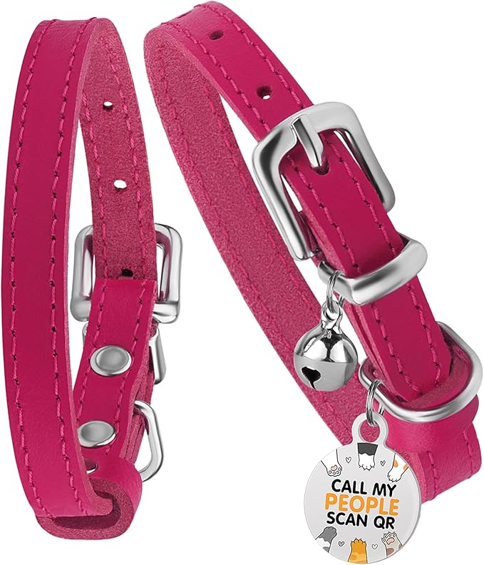 BRONZEDOG Leather Cat Collar with Removable Bells Non Breakaway Kitten QR Tag for Girl Boy (Pink & Silver, 9-12 inch)