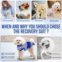 Lukovee Recovery Suit for Dogs, Zipper On Recovery Suit for Female Male Dog, Onesie Abdominal Wounds Cone E-Collar Alternative Prevent Licking Spay Recovery Suit (Large, Blue & White)