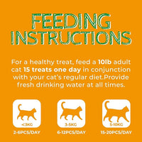 Just Try 13.4 OZ Pumpkin Cat Treats Cat Constipation Relief Hairball Control Healthy Salmon Snacks Training Biscuits Treats for Digestive Support Low Calorie Kitten Snacks