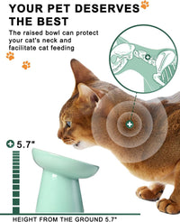 Y YHY Slow Feeder Cat Bowl, Ceramic Cat Slow Feeder Bowl - Green - image 4