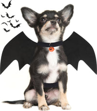 Dog Halloween Costumes for Large Dogs - Small