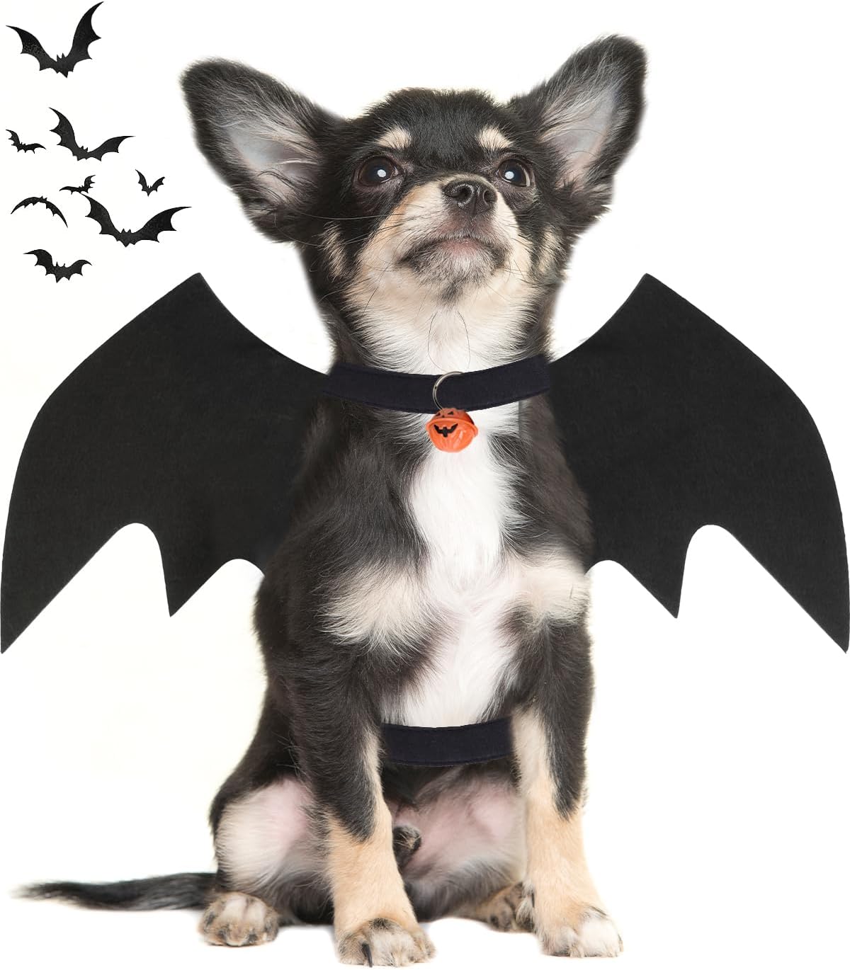 Dog Halloween Costumes for Large Dogs - Small