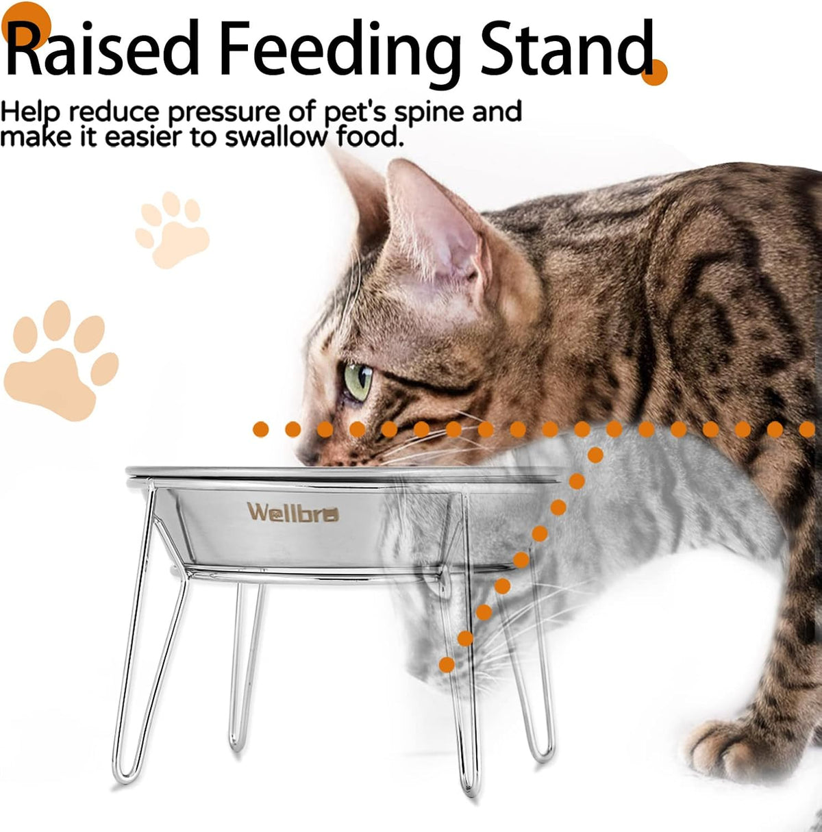 Elevated Cat Bowls, Wide Stainless Steel Cat Food Bowls with Metal Stand Whisker Stress-Free - 4 pack raised bowls - image 2