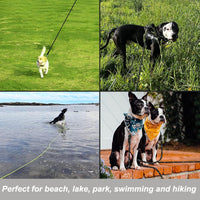 Vivifying Floating Long Dog Leash - 32ft / Black - image 3