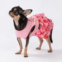 Fitwarm Halloween Pumpkin Dog Dress - Large / Happy V Day - image 3