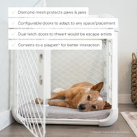 Diggs Evolv Modular Dog Crate for Dogs 16-18" Tall - Intermediate (38.1"L x 24.9"W x 25.6"H) / Ash - image 2