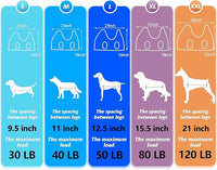 Pet Grooming Hammock with Nail Clippers/Nail Trimmers/Grooming Scissors, Dog Grooming Harness for Nail Trimming, Pet Grooming Sling Helper