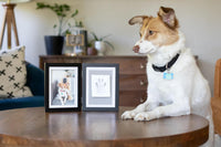 Pearhead Pet Paw Print Frame with Clay Impression Kit - Black Pawprint Desk Frame - image 2