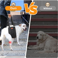 Adjustable Dog Lift Harness Dog Sling for Large Dogs Hind Leg Support Soft Lift Support and Rehab Harness for Weak Rear Legs, Helps Senior, Injured, Disabled and After ACL Surgery Dogs Large