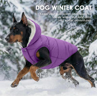 Dog Winter Coat,Warm Fleece Lined Dog Jacket with Leash Hole & Hood – Essentials for Dogs - Purple / XXX-Large - image 4
