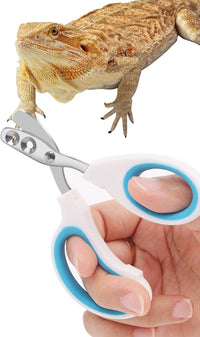 Stainless Steel Bearded Dragon Nail Clippers - Blue
