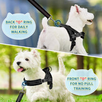 SlowTon No Pull Small Dog Harness and Leash Set with Front Clip – Essentials for Dogs - X-Small / Black - image 4