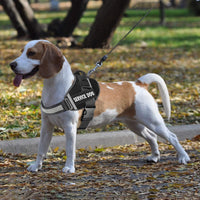 JSXD Dog Harness,No-Pull Service Dog Harness with Handle Adjustable Outdoor Pet Dog Vest 3M - XS / Black - image 3