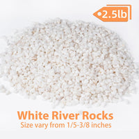 2.5 lbs Coarse Sand for Plants, Desert Silica Sand for Cactus - 2.5 Pounds / White - image 2