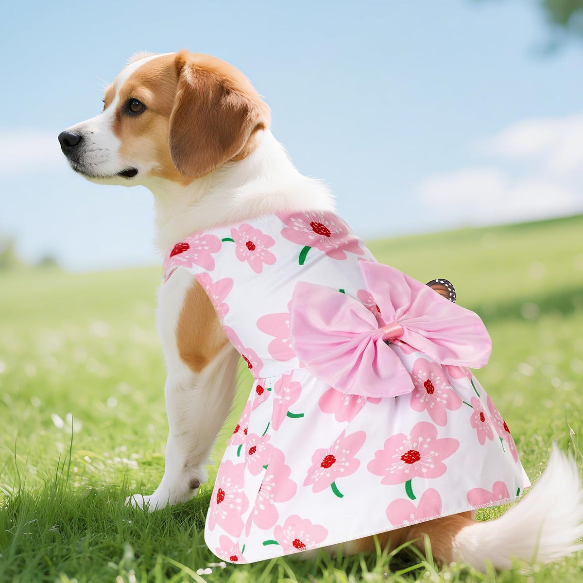 choyaxo Floral Dog Dress Cute Dog Skirt Pet Dress Summer Pet Clothes - Floral / X-Large - image 4