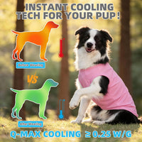 Halloween Dog Shirts for Large Dogs - Pink&Purple / XXX-Large(Chest 31", Back 25") - image 2
