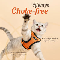 Cat Harness and Leash Set, Adjustable and Escape Proof - Orange / Xs - image 2