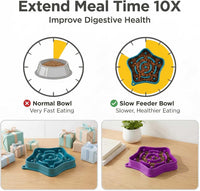 Pet Slow Feeder Bowl for Small Dogs - Turquoise & Purple（2 Pack) - image 3