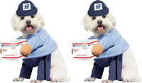 California Costumes Dog Mail Carrier Costume USPS Medium – Essentials for Dogs - Large (Pack of 2)