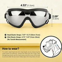Dog Goggles for Small Breeds - Medium / Black - image 4