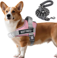 AUROTH Dog Harness for Large Dogs No Pull Tactical Harness and Leash - Pink / S(Neck:13.4"-19.7",Chest:20.5"-26")