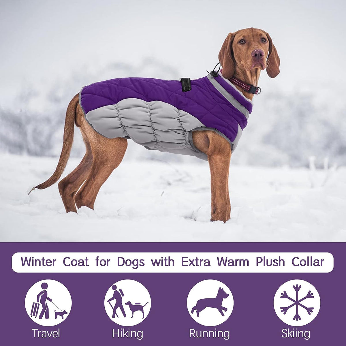 Dog Cold Weather Coats Reflective Dog Warm Jacket with Harness – Essentials for Dogs - Purple / M(chest:21in) - image 2