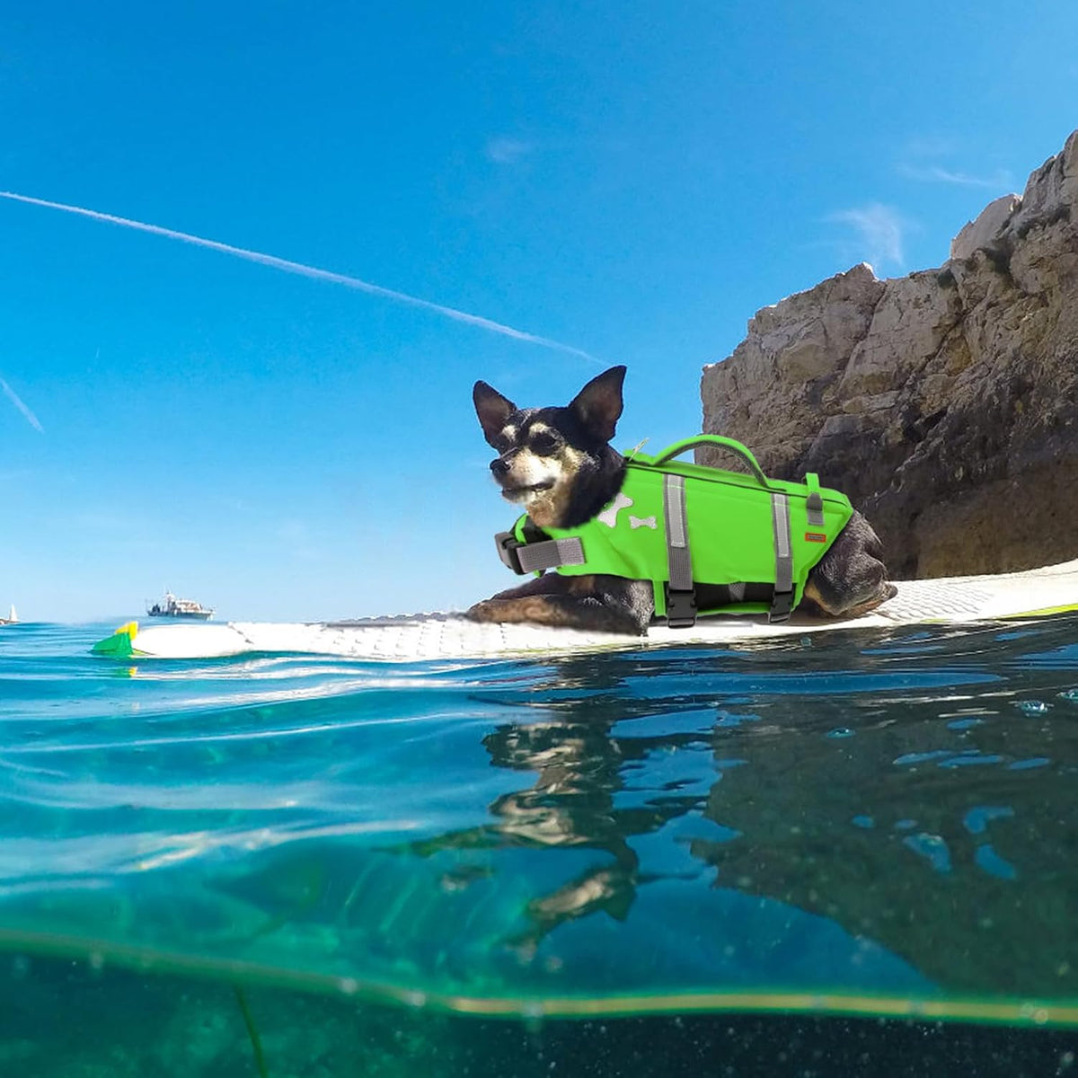EMUST Dog Life Jacket, Waterproof, Breathable - S / NewGreen - image 4