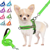 Lukovee Small Dog Harness and Leash Set, No Pull Soft Padded, XS - Green - with Stripe / XXS ( Chest 11.5'' ~ 15'')