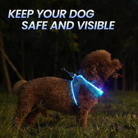 PceoTllar Light Up Dog Harness, LED No Pull Reflective Dog Harness, Flashing Lighted for Night Walking - Small/Medium, (Blue XS)
