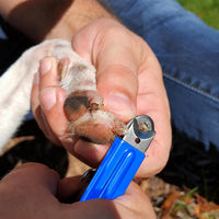 Guillotine Style Dog Nail Clippers for Large Dogs and Cats - Regular / Nail Care Kit - image 2