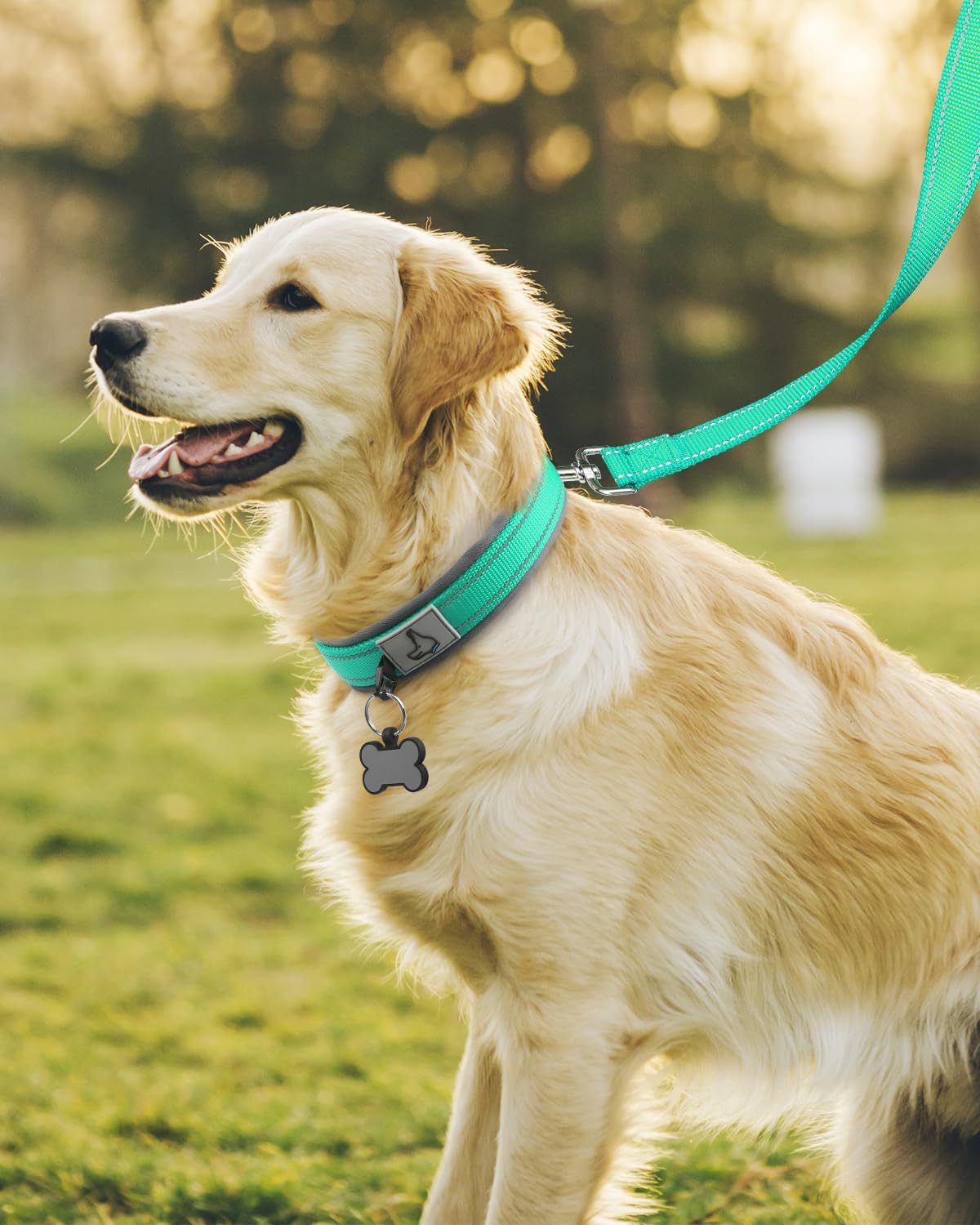 Joytale Reflective Dog Collar for Large Dogs with Wide Padding - Teal / L - image 4