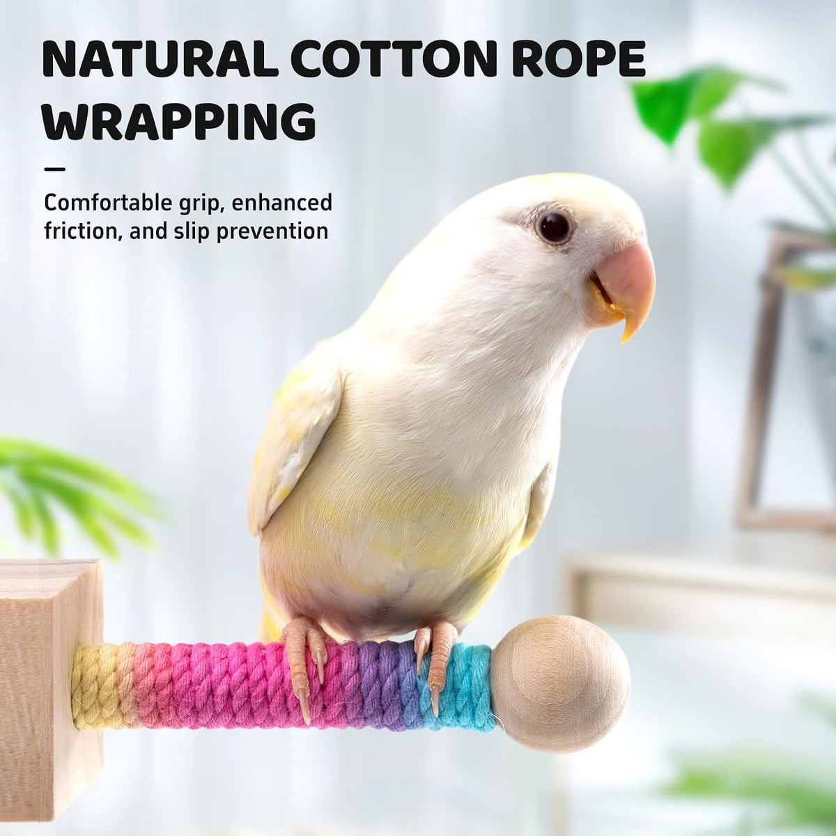 2 PCS, Hanging Bird Perch Toy & Poplar Bird Swing - image 4
