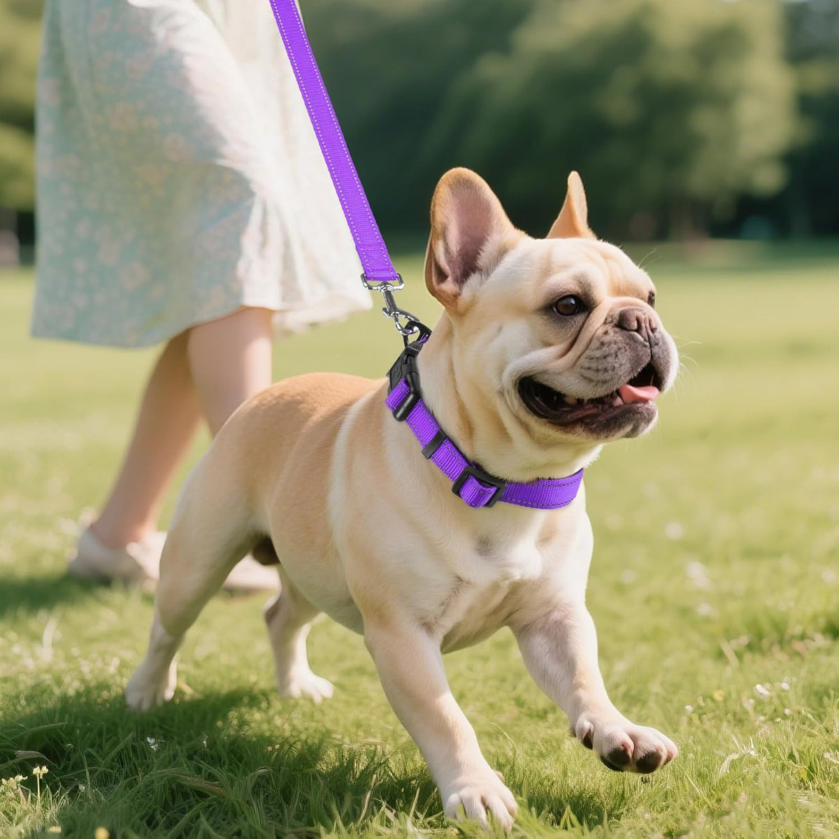 Joytale Reflective Dog Collar, Adjustable Neoprene Padded - Small (Pack of 1) / Purple - image 2