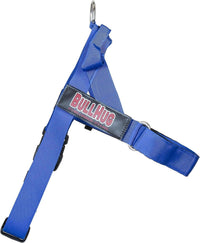 Adjustable Dog Harness, No Pull, No Choke, for English Bulldogs - ROYAL BLUE / Large - (Neck: 19" - 23" Chest: 29" - 33") - image 2