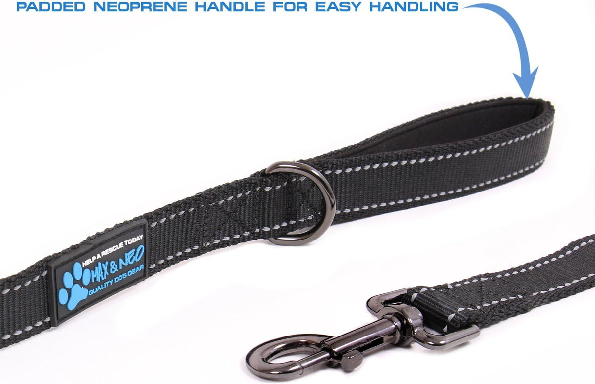 Max and Neo Reflective Nylon Dog Leash - 4 FT x 1" Wide / PURPLE - image 3