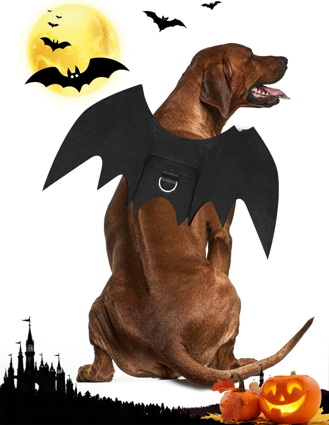 Halloween Dog Bat Wings Costume - X-Large - image 2