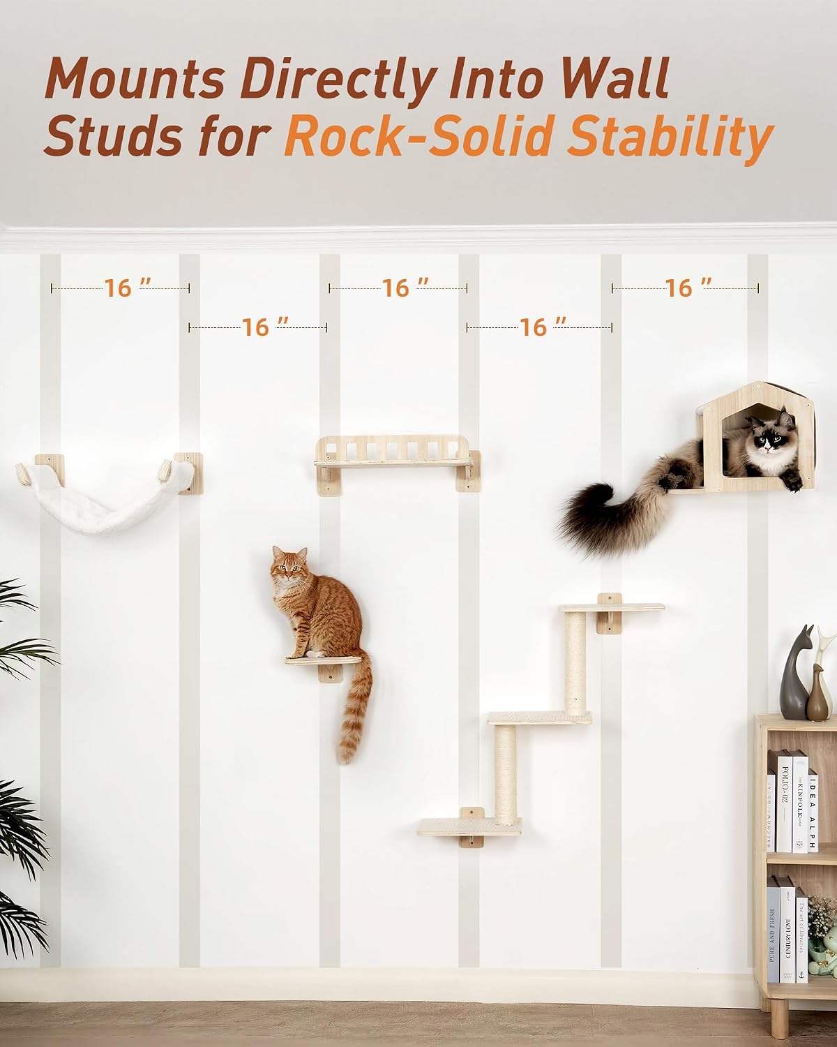 5-in-1 Cat Wall Shelves for Large Cat, Large Hammock, Wide Perch – Essentials for Cats - image 4