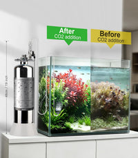 Aquarium CO2 Generator Double Runtime with Solenoid Valve 4L - G700S - image 2