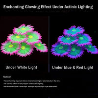 ZtohPyo Glow Fish Tank Decorations - Pink - image 3