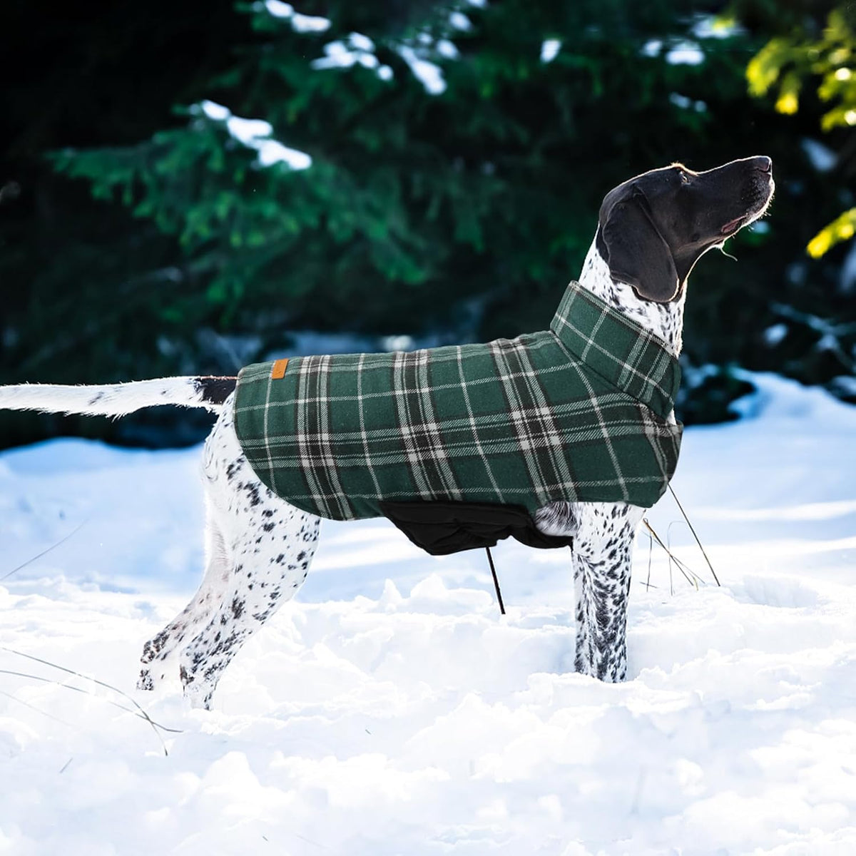 Kuoser Waterproof Dog Coat - Green / Medium (Pack of 1) - image 2