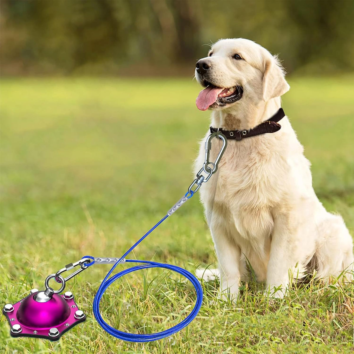 Dog Tie Out Cable and Stake for Camping, 360°Swivel Dog Run - Dog Stake Violet/20ft Cable/200lbs - image 4