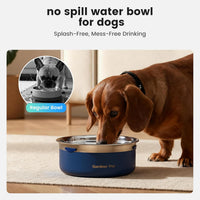 Gardner Pet Dog Bowls 1 Gallon Stainless Steel Dog Water Bowl – Essentials for Dogs - Blue / Small (2L) - image 3