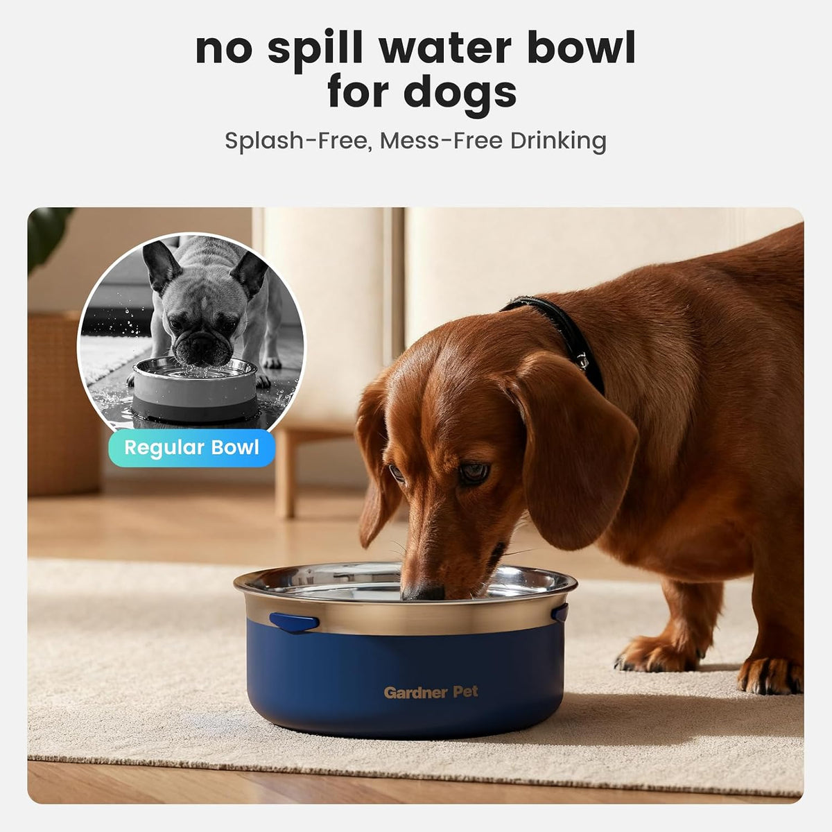 Gardner Pet Dog Bowls 1 Gallon Stainless Steel Dog Water Bowl – Essentials for Dogs - Blue / Small (2L) - image 3