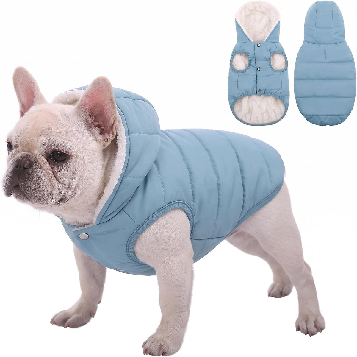 Dog Winter Coat,Warm Fleece Lined Dog Jacket with Leash Hole & Hood – Essentials for Dogs - light Blue / Large