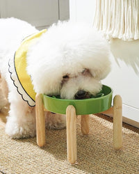 LE TAUCI Ceramic Slow Feed Dog Bowls, Elevated for Small Breeds, Anti-Gulping, Non-Slip, 6 inch, Green